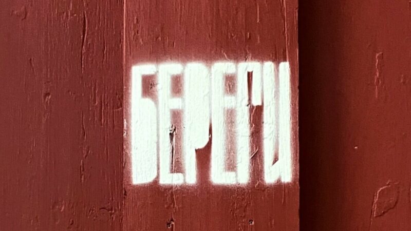 Пластик, блендер и бумага: как в Ростове появился экопроект переработки макулатуры в открытки