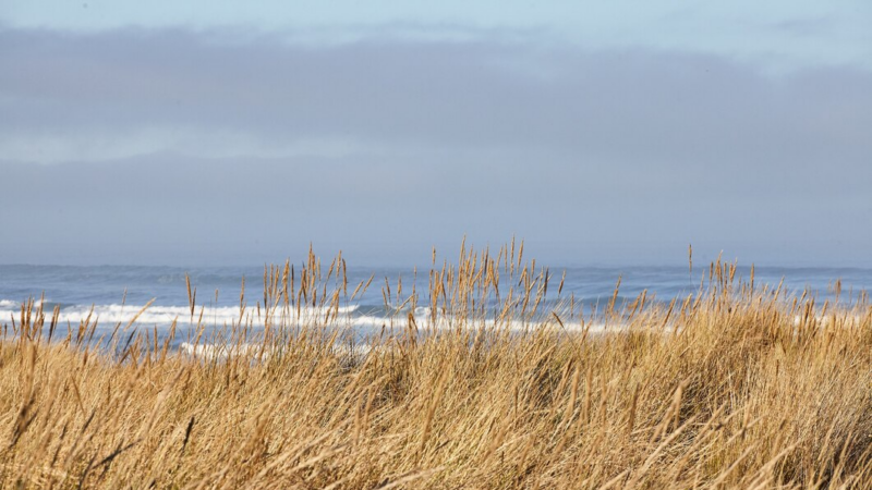 Беспилотник обнаружили на побережье в Ейском районе