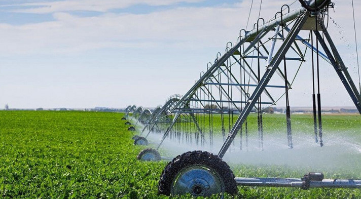 Парламентарии Кубани предложили занятые мелиоративными лесными насаждениями земли предоставлять без торгов