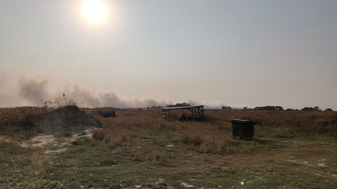 На свалке в районе станицы Полтавской не выявили новых очагов возгорания