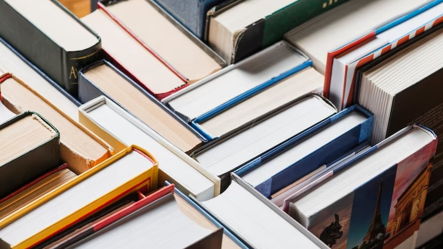 Стоимость книг на Юге России в 2023 году выросла на 30%