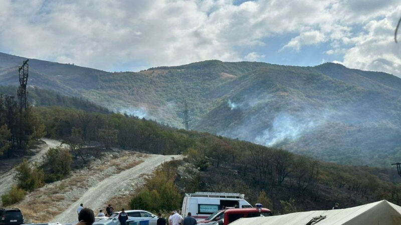 В Геленджике по факту лесного пожара возбудили уголовное дело