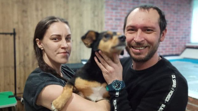 Заплыв для барбоса: как супруги из Краснодара открыли бассейн для собак