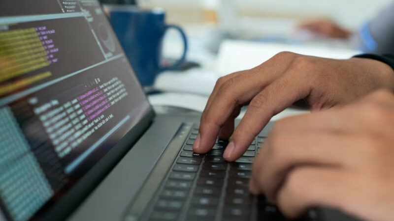 На Кубани в 2022 году в два раза выросло число компаний в сфере разработки ПО