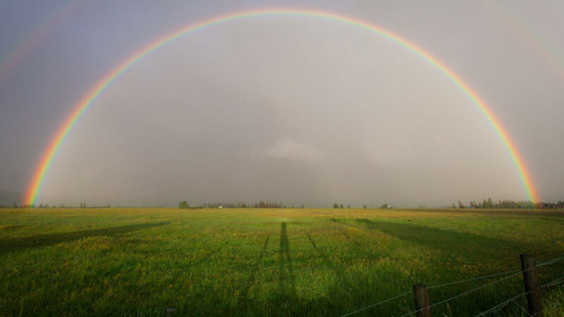 На Кубани в выходные прогнозируют жару до +36 градусов и дожди