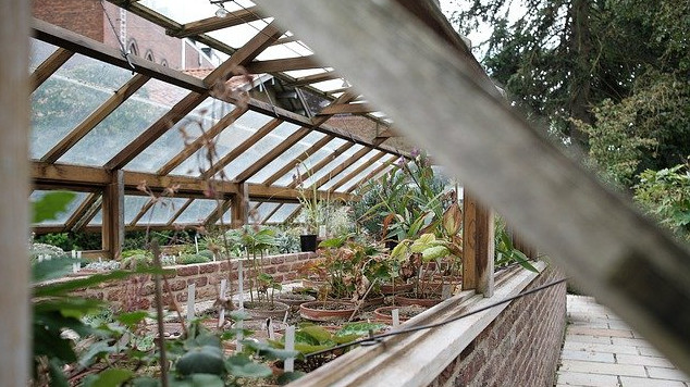 «Акварос»: модернизация теплиц позволит увеличить урожай на 30%