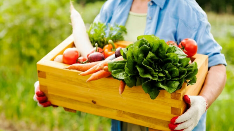 От ярмарки онлайн до кооперации: зачем фермерам Юга маркетплейсы