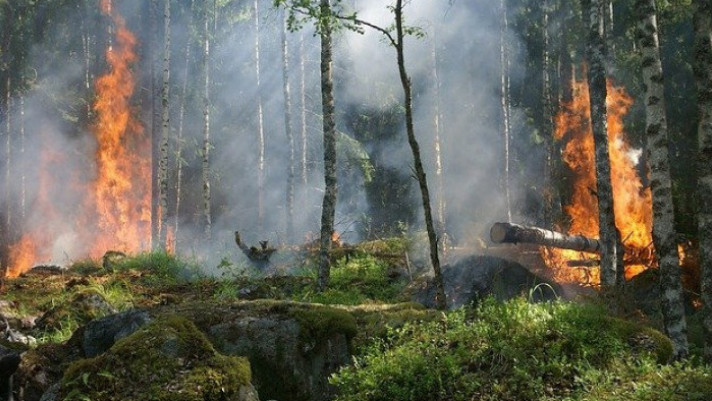 МЧС Кубани предупредило о высокой пожароопасности