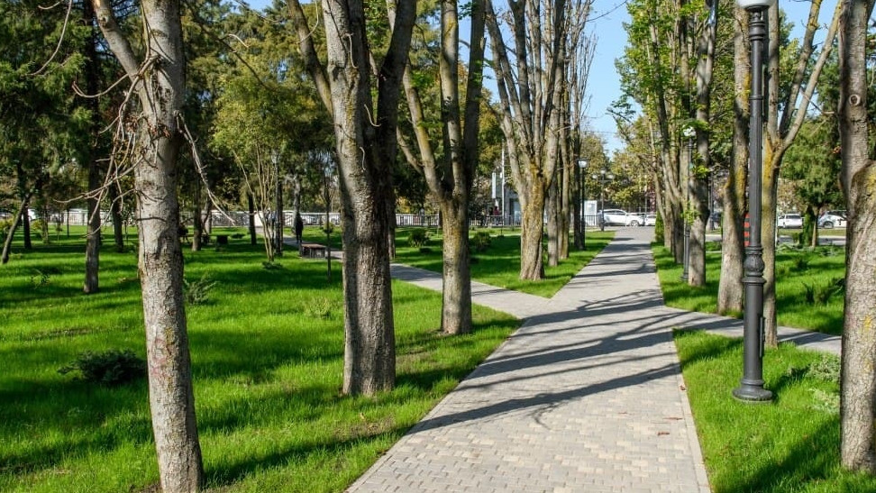 В Краснодаре выбрали зеленые зоны для благоустройства в 2022 году