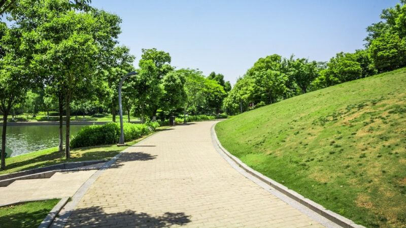 В Сириусе создадут систему линейных парков