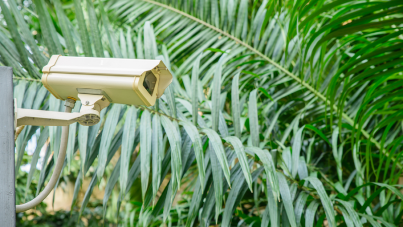 В Сочи в 2023 году на треть увеличат количество камер видеонаблюдения