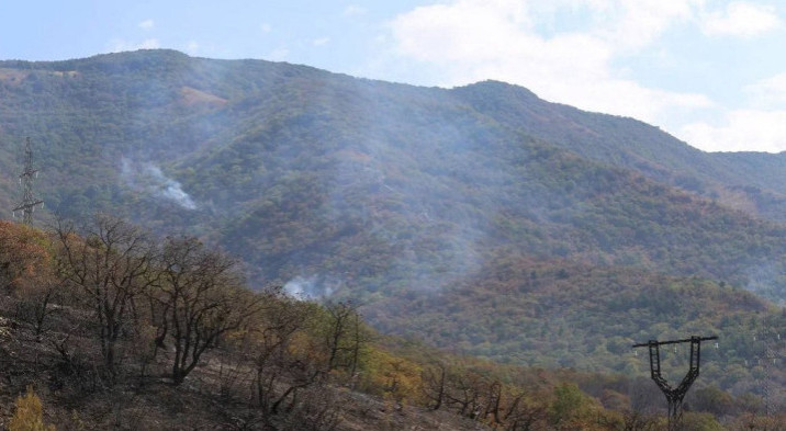 В Геленджике проверят законность застройки в районе ликвидированного лесного пожара