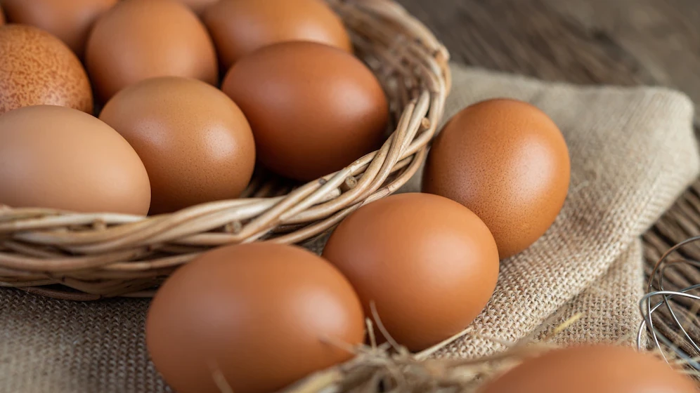 Все яйца в одну корзину: Как господдержка помогла жительнице Кубани начать дело по выращиванию кур-несушек
