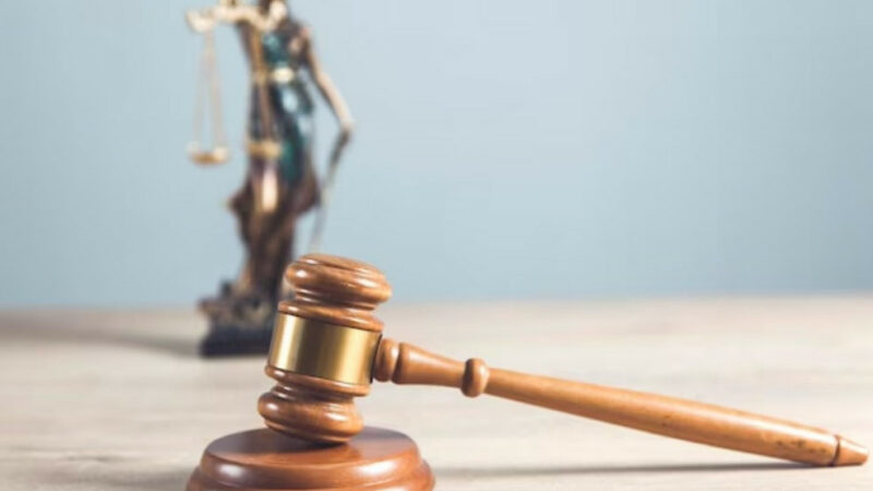 Иск за земли под олимпийские объекты и «Агрокомплекс» против сельской администрации: кто с кем судится на Кубани