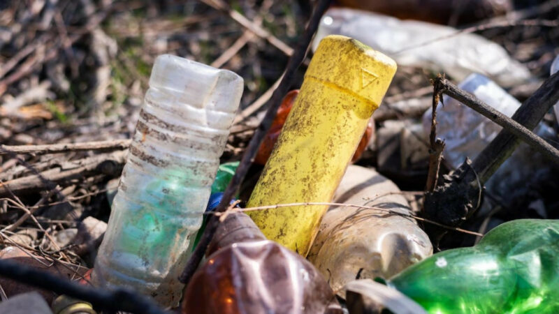 Суд отказал администрации в закрытии полигона в Полтавской