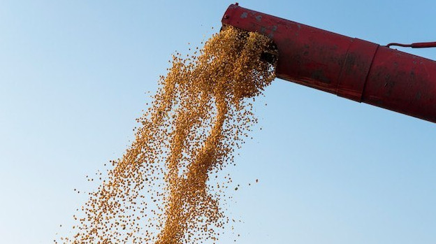 ГК «Дело» планирует выкупить у Cargill блокпакет акций терминала КСК в Новороссийске