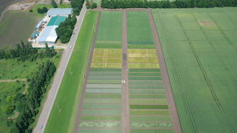 В Краснодаре проведут инвентаризацию земель сельхозназначения