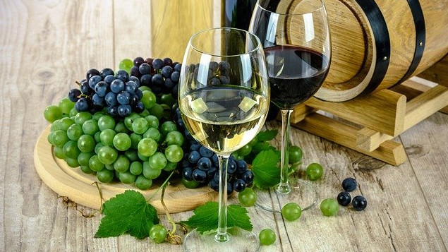 На Кубани за три года появилось 29 винодельческих предприятий