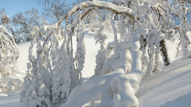 Замело по пояс: на Кубани зафиксировали почти полутораметровые сугробы