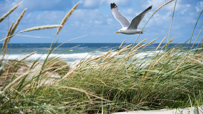 На Кубани создали природный комплекс «Таманский» площадью 347 га