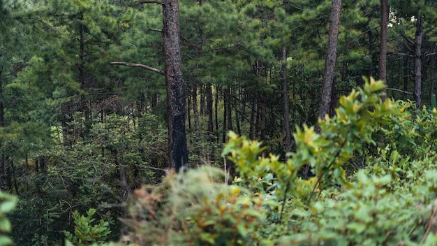 На Кубани в 2024 году на поддержку растениеводства направят 5 млрд рублей