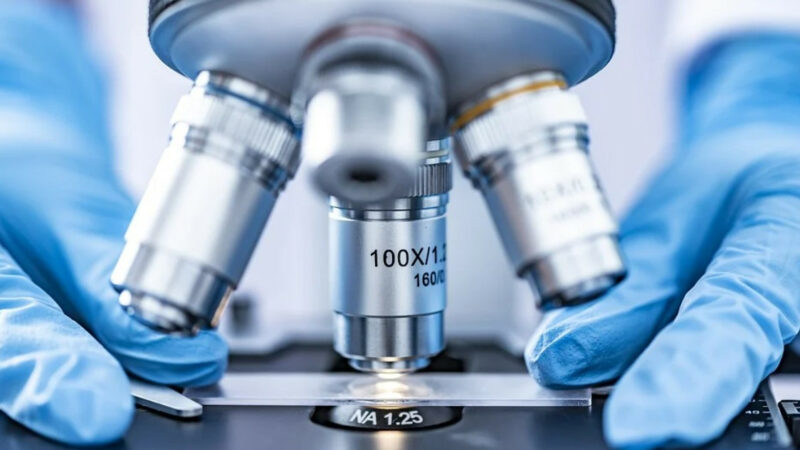 Медицинская лаборатория СИТИЛАБ: бизнес-итоги 2021