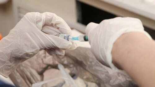 В Краснодаре вакцинацию от COVID-19 прошли более 431 тыс. человек