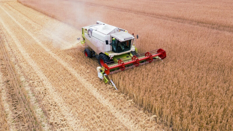 VELES: До 70% автопарка сельхозпроизводителей России нуждается в замене