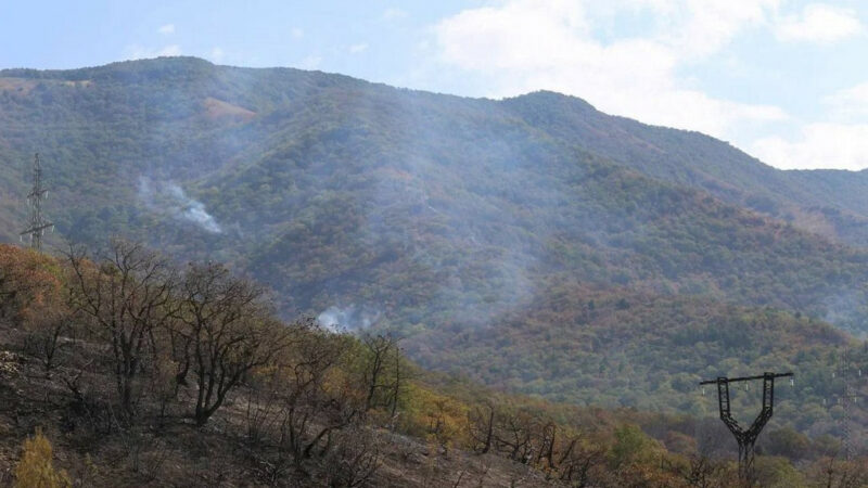 Лесной пожар в Геленджике ликвидировали