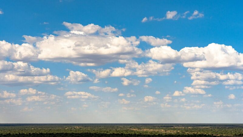 Голубев: ПВО отработали по воздушным целям