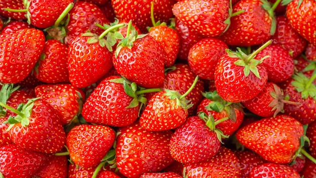 На Кубани в 2023 году производство клубники выросло на 7,5%