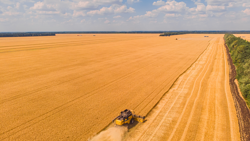 От полей до самых облигаций: примеры агропромышленных компаний, которые привлекли финансирование на публичном долговом рынке