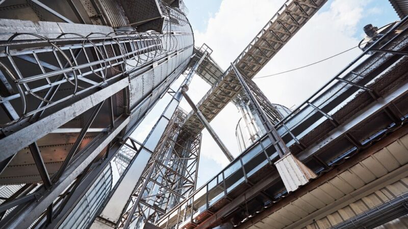 На Кубани в Темрюкском районе под производство аммиака выделили 220 га