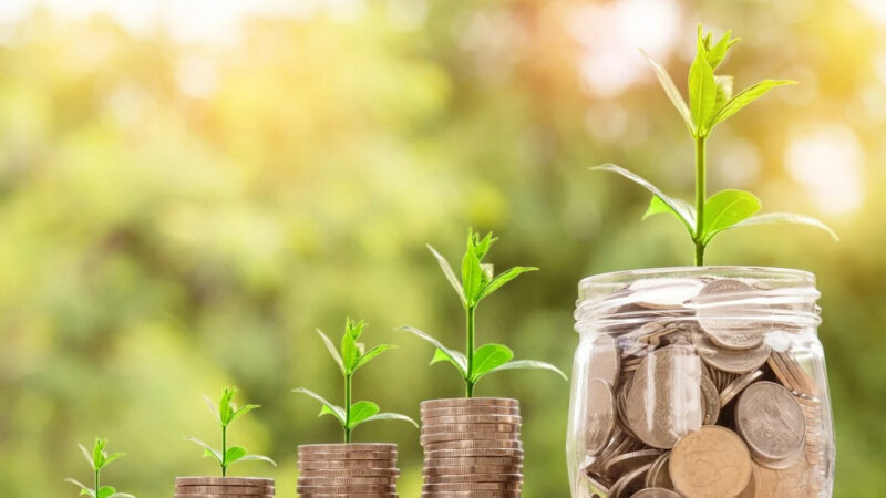 Инструмент консервативных инвесторов