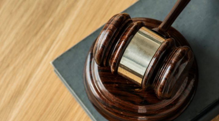 Сочинского застройщика «Сады Киви» признали несостоятельным