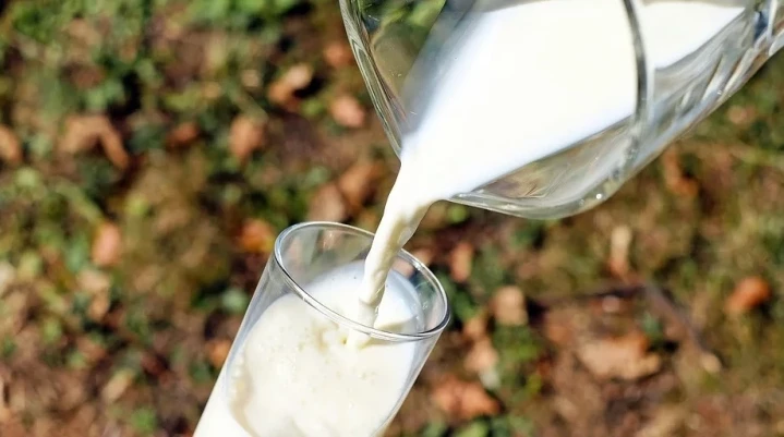 Маслосырзавод «Славянский» оштрафовали на 300 тыс. рублей за некачественное молоко