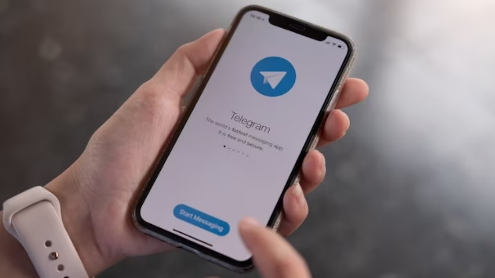 Виральный контент и взаимный пиар: как бизнесу продвигать канал в Telegram