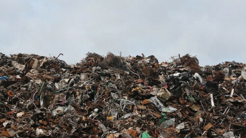 На Кубани направили в суд дело о загрязнении земли химвеществами