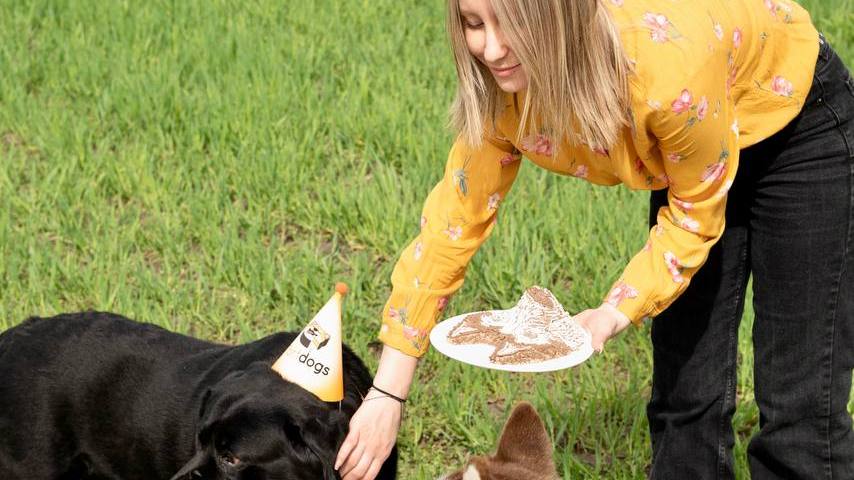 Лапу оближешь: как жительница Краснодара запустила производство тортов для собак