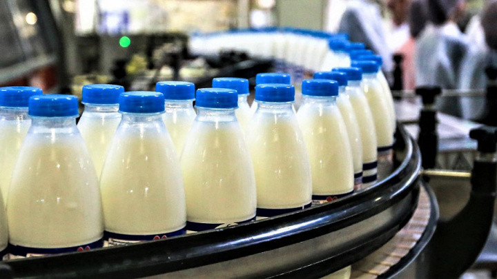 На Кубани с начала 2021 года производство молока превысило 1,1 млн тонн