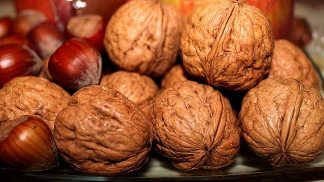 На Кубани инвесторы смогут получить без торгов земли под выращивание орехов