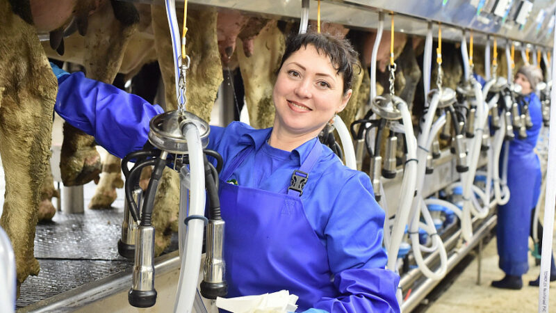 На Кубани в 2021 году на поддержку начинающих сельхозкооперативов направили 55 млн рублей