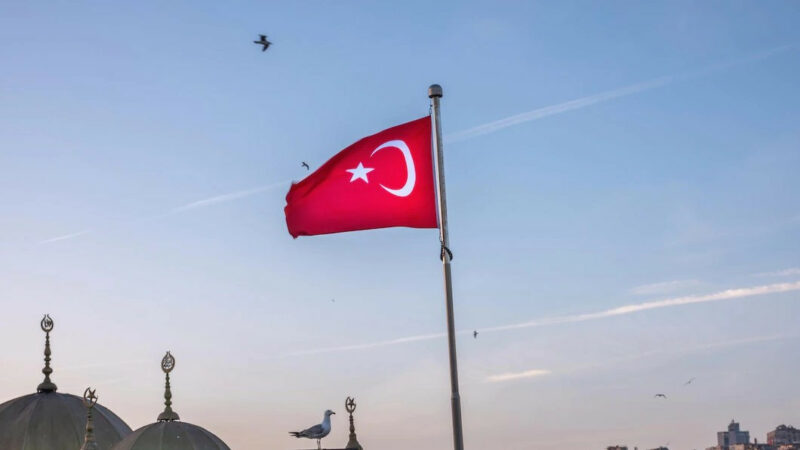 Паромы в Сочи из турецкого Трабзона планируют запустить в мае 2023 года