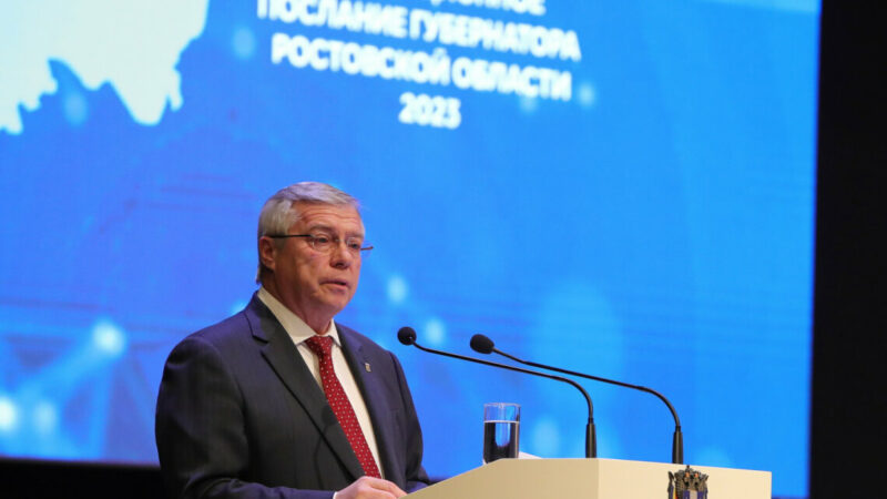 Голубев назвал три основных направления стратегического развития Ростовской области