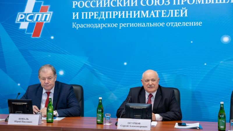 Время действий и инноваций: как Краснодарское отделение РСПП помогает бизнесу
