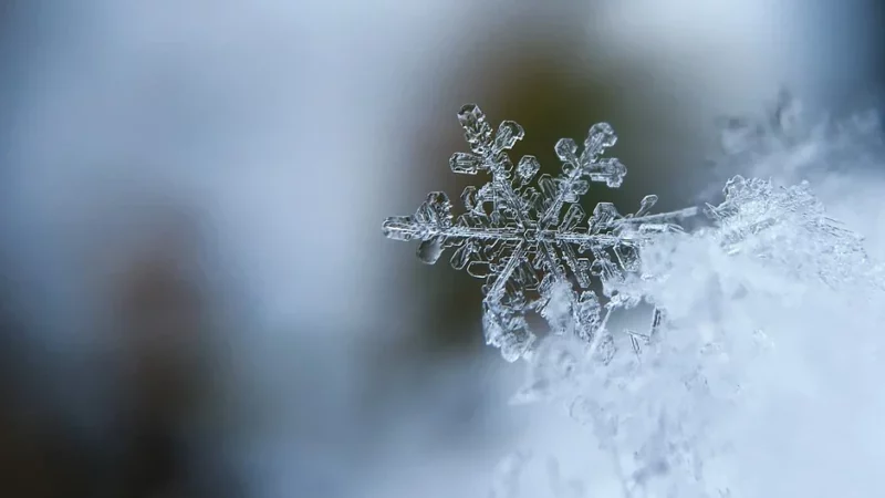 МЧС Кубани предупредило о налипании мокрого снега