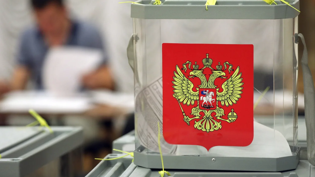 Голоса подсчитаны: избирком Кубани представил предварительные итоги выборов в Госдуму