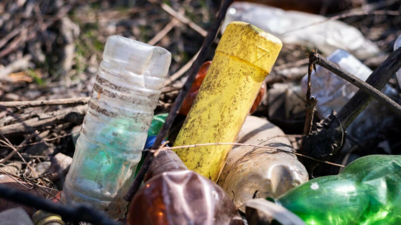 Власти Красноармейского района обжаловали отказ суда закрыть мусорный полигон