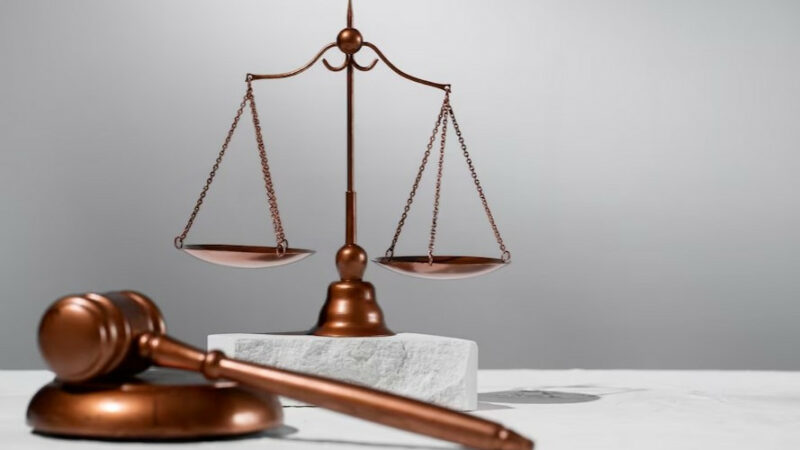 Иск к аэропорту на 590 млн рублей и «Агрокомплекс» против чиновников: кто с кем судится на Кубани