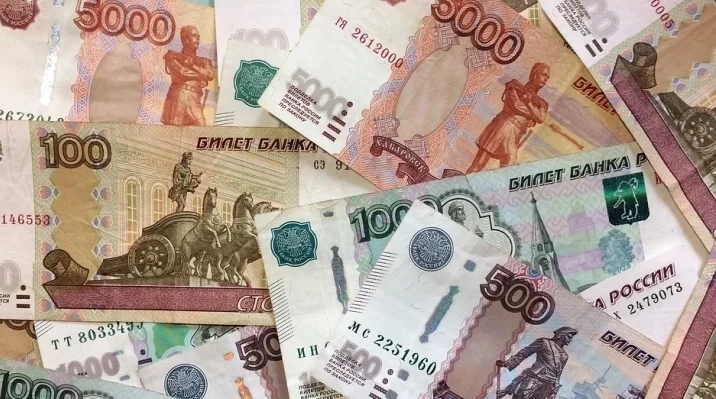 На Кубани дебиторку обанкротившегося агрокомплекса выставили на торги почти за 824 млн рублей